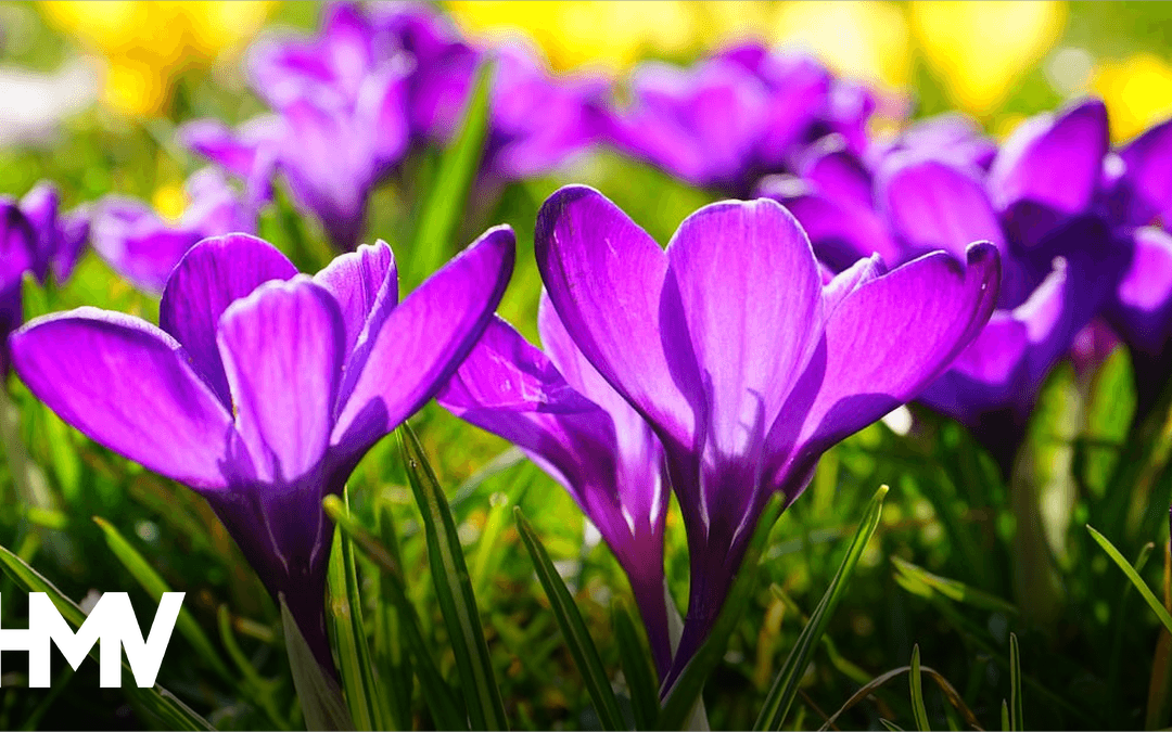 Spring cleaning your finances: eliminating subscription and asset drift
