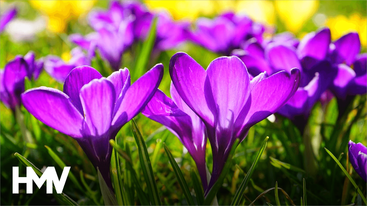 Spring cleaning your finances: eliminating subscription and asset drift