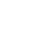Risk and Control Strength icon